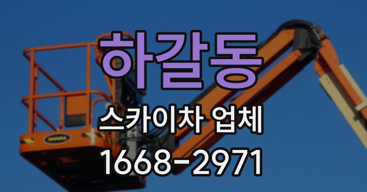 하갈동 스카이차 업체