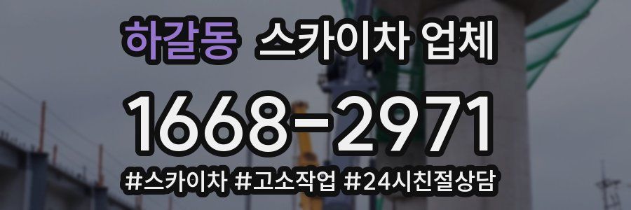 하갈동 스카이차 업체