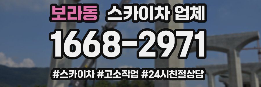 보라동 스카이차 업체