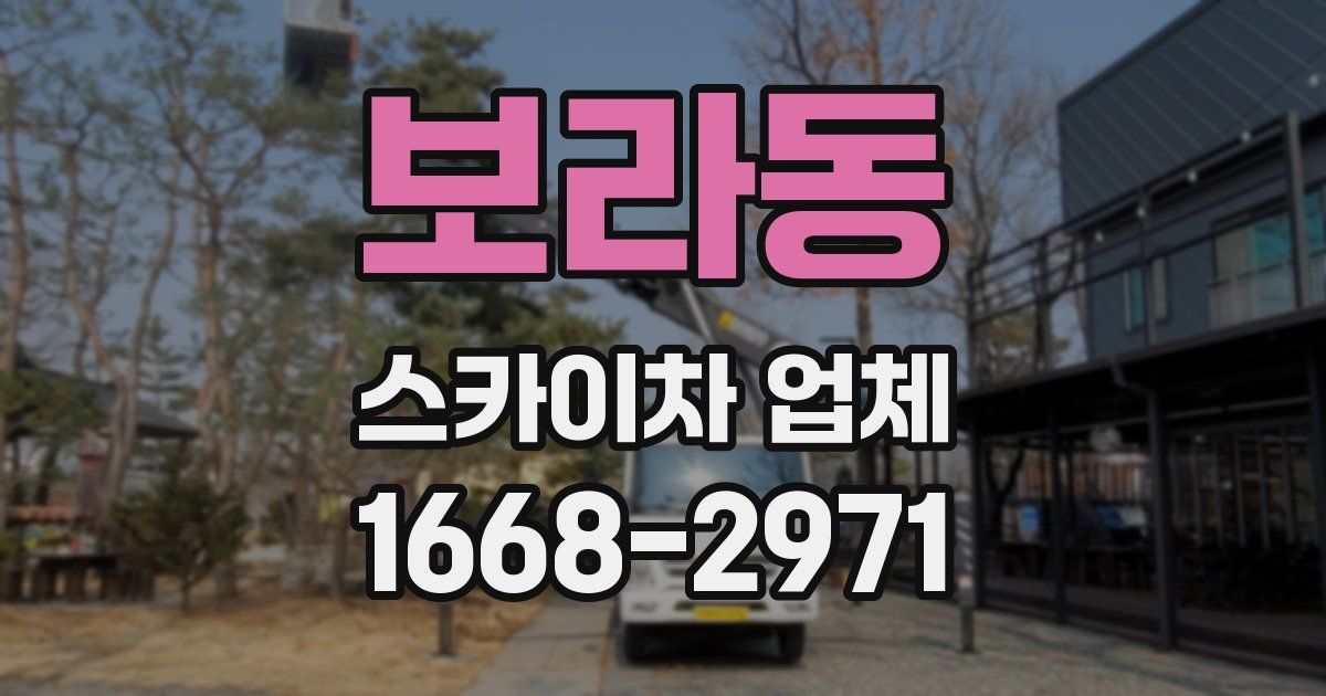 보라동 스카이차 업체