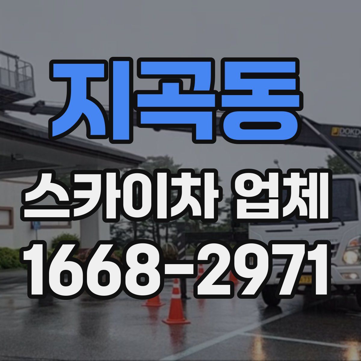 지곡동 스카이차 업체