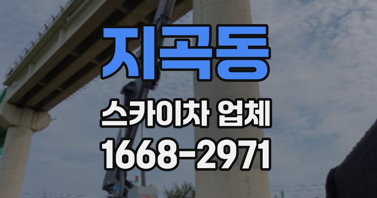 지곡동 스카이차 업체