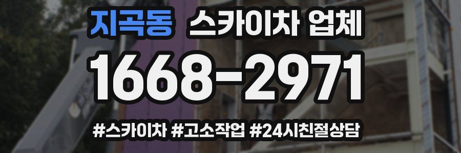 지곡동 스카이차 업체