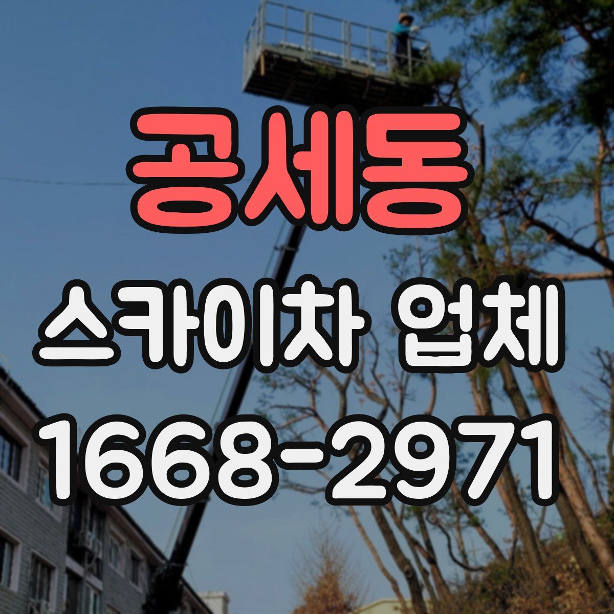 공세동 스카이차 업체