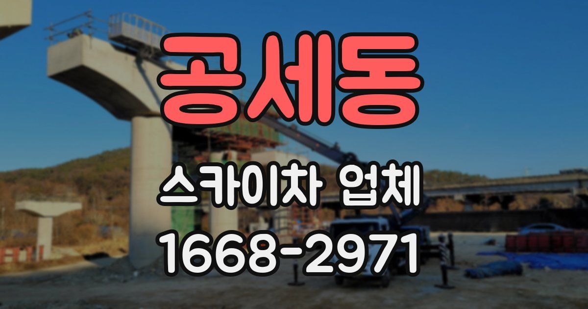공세동 스카이차 업체