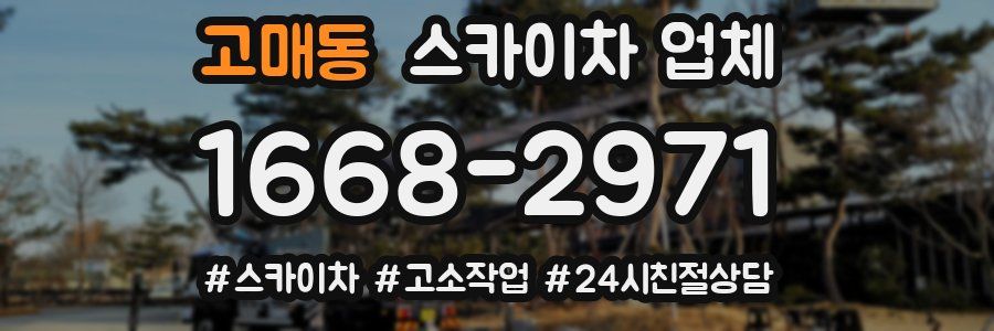 고매동 스카이차 업체