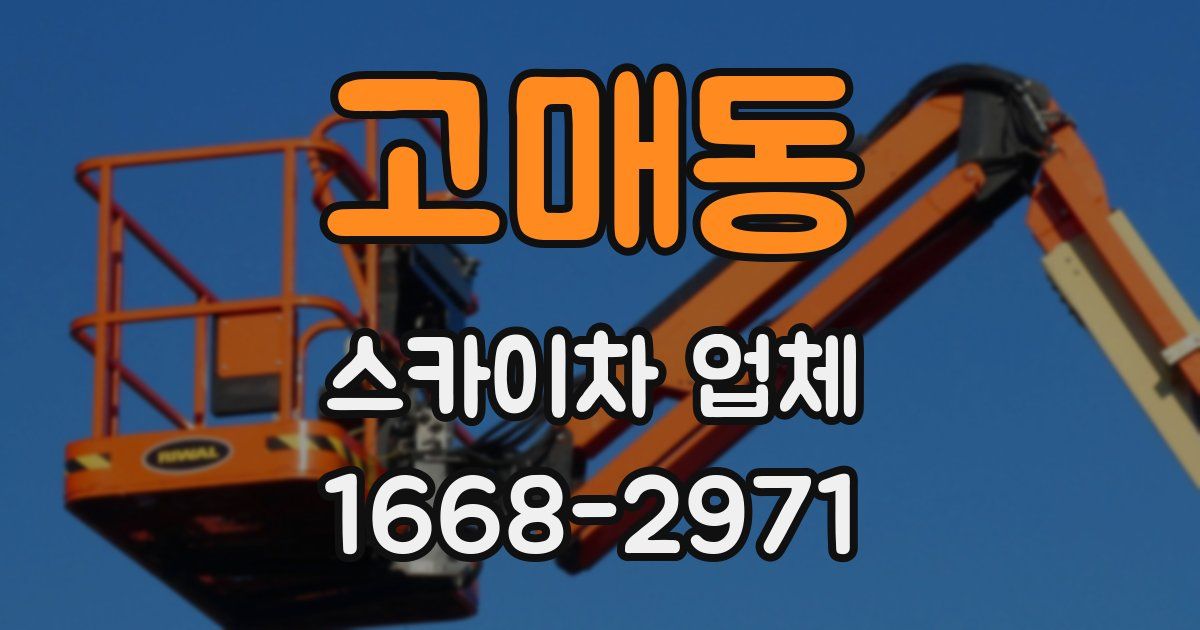 고매동 스카이차 업체