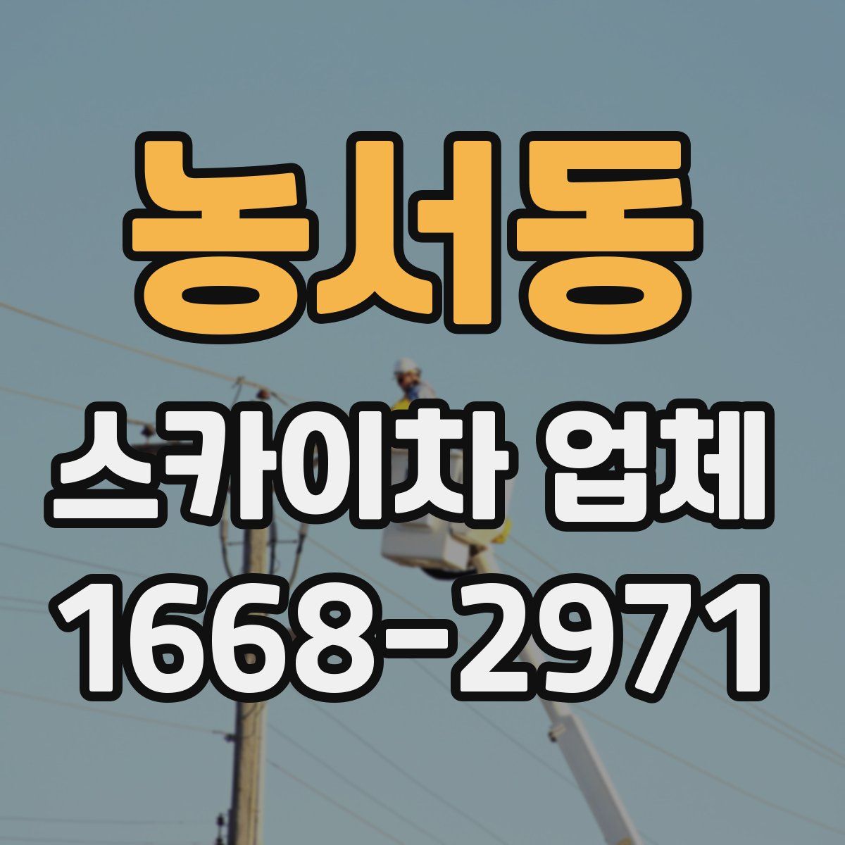 농서동 스카이차 업체