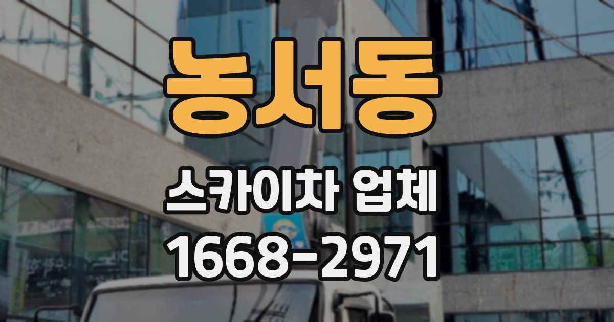 농서동 스카이차 업체