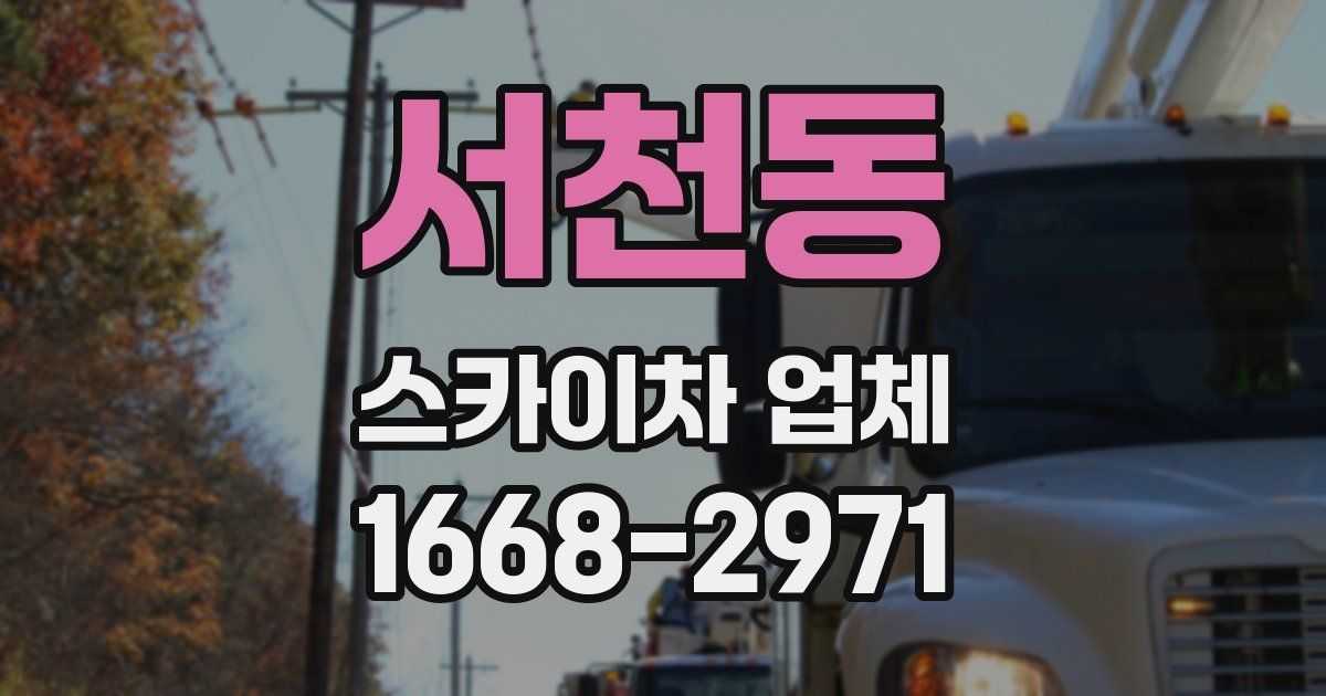 서천동 스카이차 업체