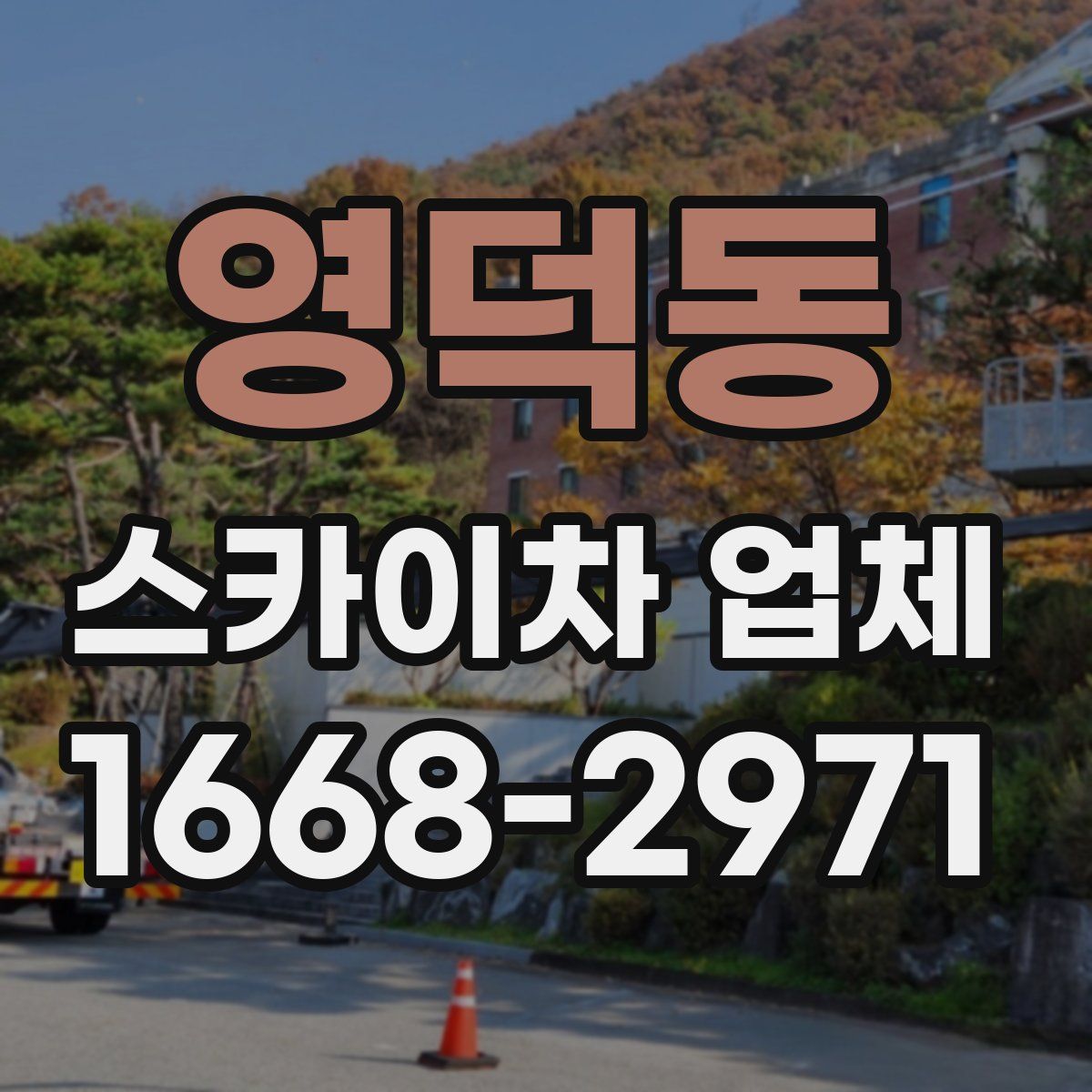 영덕동 스카이차 업체
