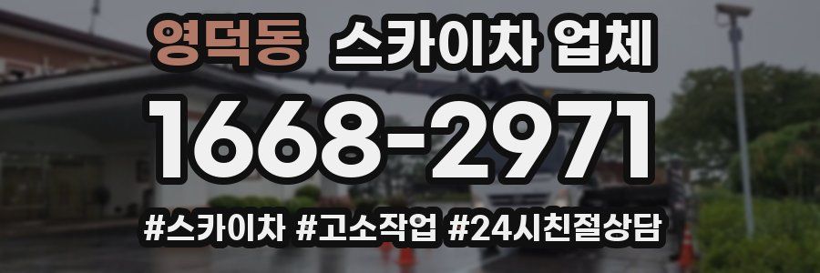 영덕동 스카이차 업체