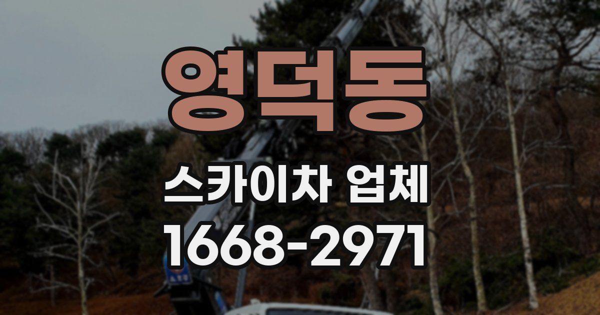 영덕동 스카이차 업체