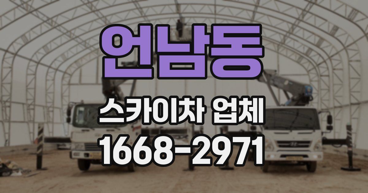 언남동 스카이차 업체