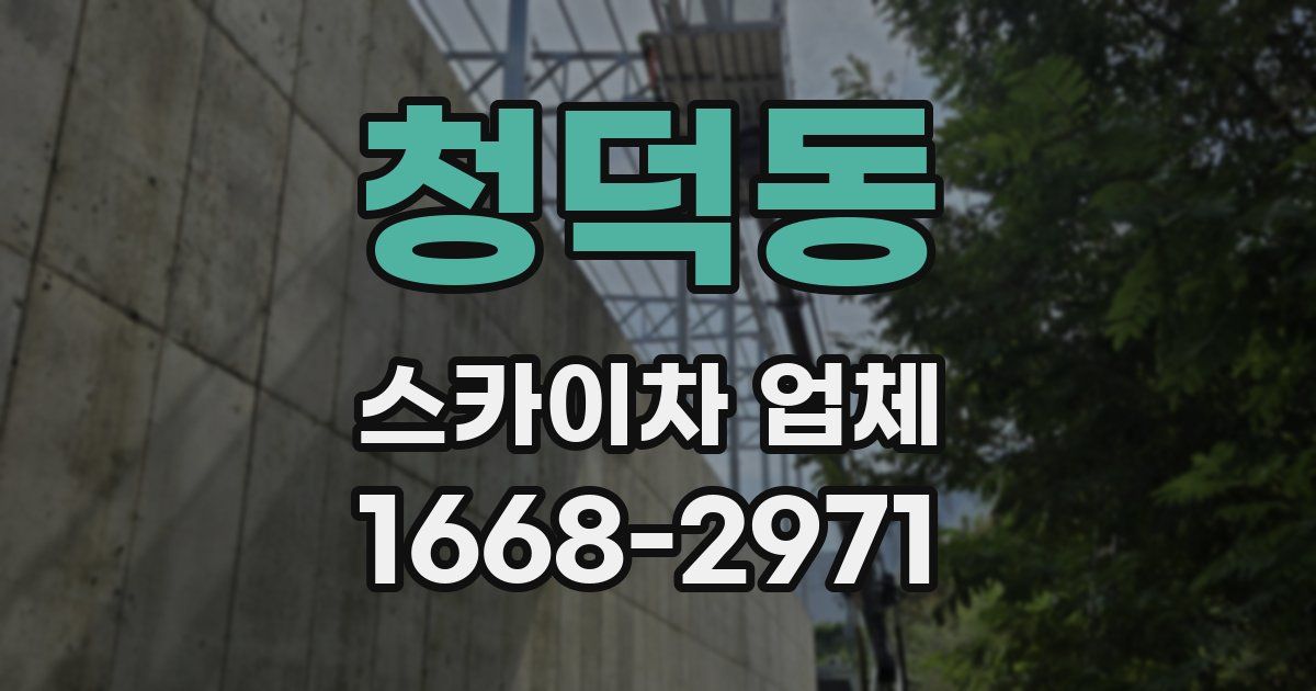 청덕동 스카이차 업체