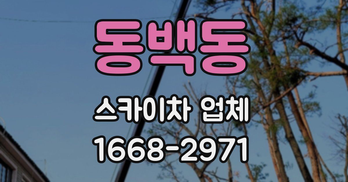 동백동 스카이차 업체