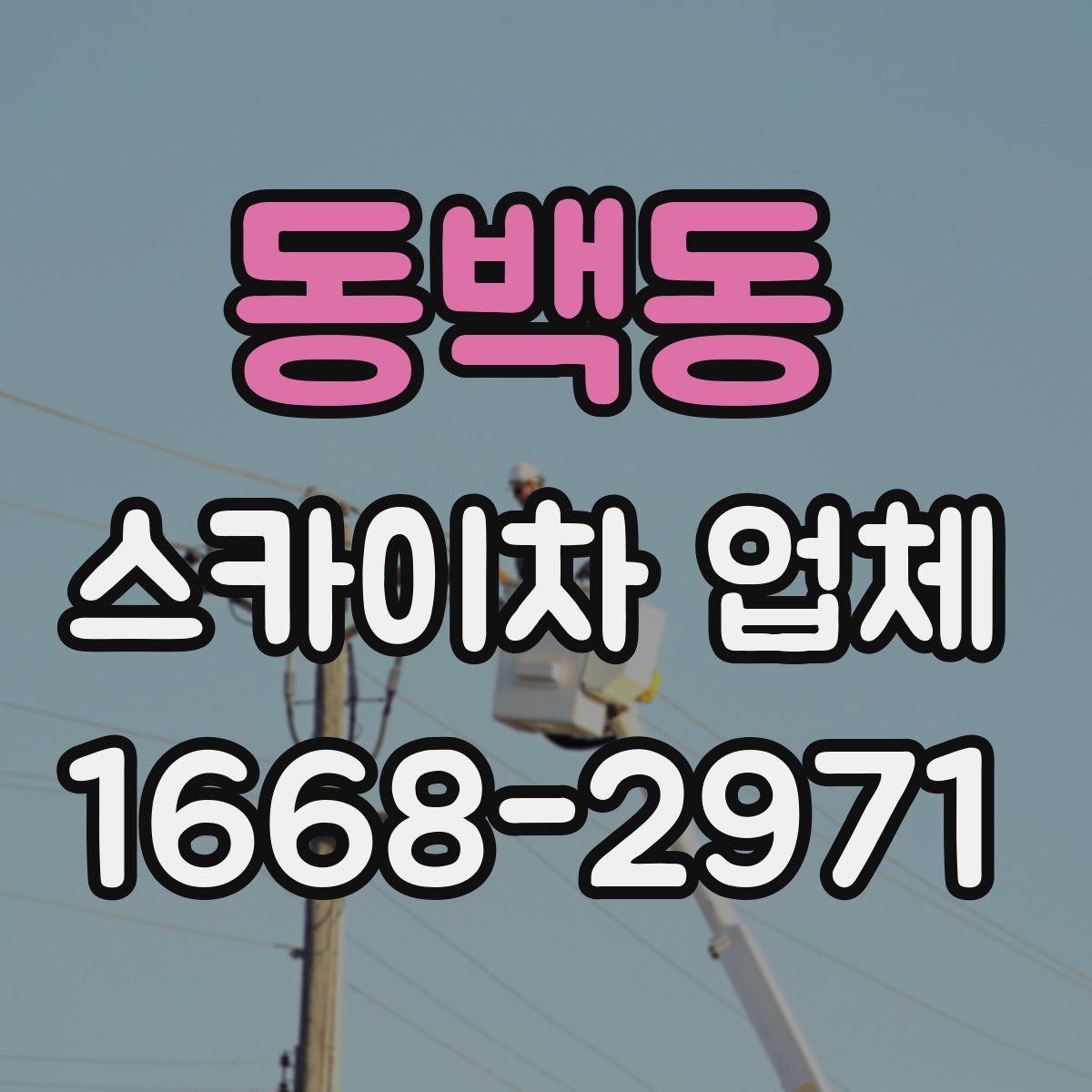 동백동 스카이차 업체