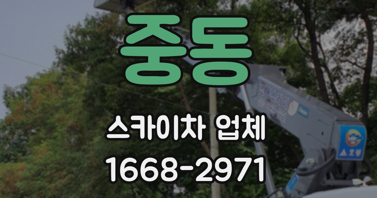 중동 스카이차 업체