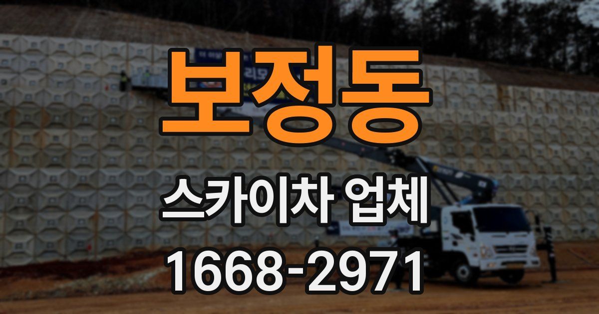 보정동 스카이차 업체