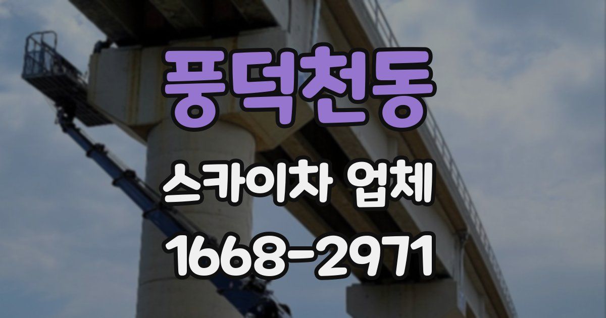 풍덕천동 스카이차 업체