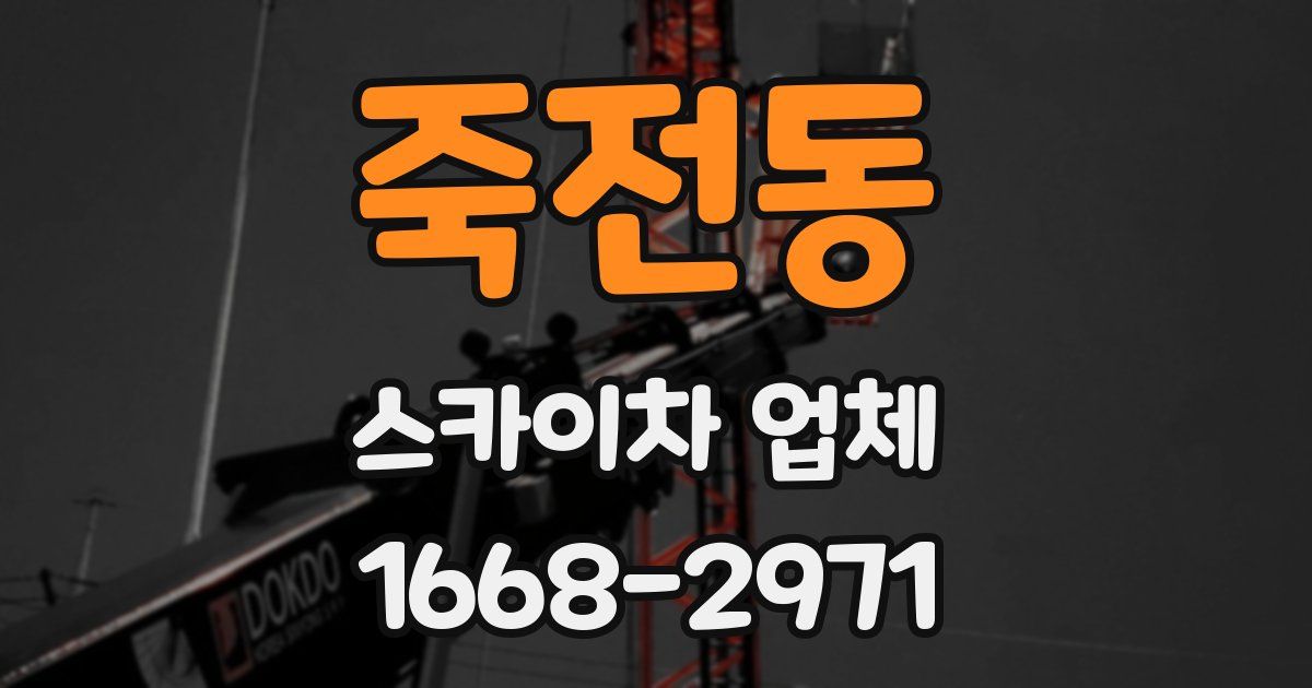 죽전동 스카이차 업체
