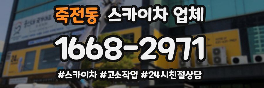 죽전동 스카이차 업체