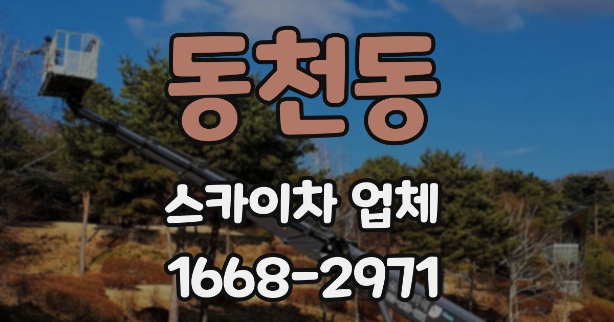동천동 스카이차 업체