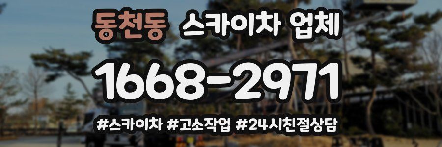동천동 스카이차 업체
