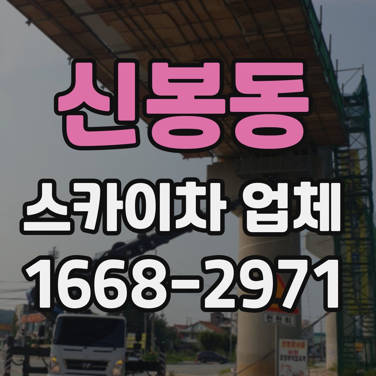 신봉동 스카이차 업체