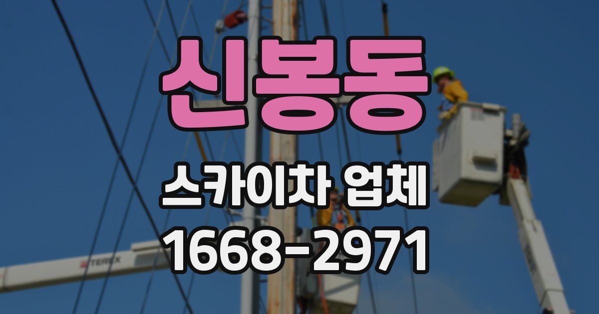 신봉동 스카이차 업체