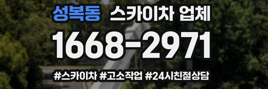 성복동 스카이차 업체