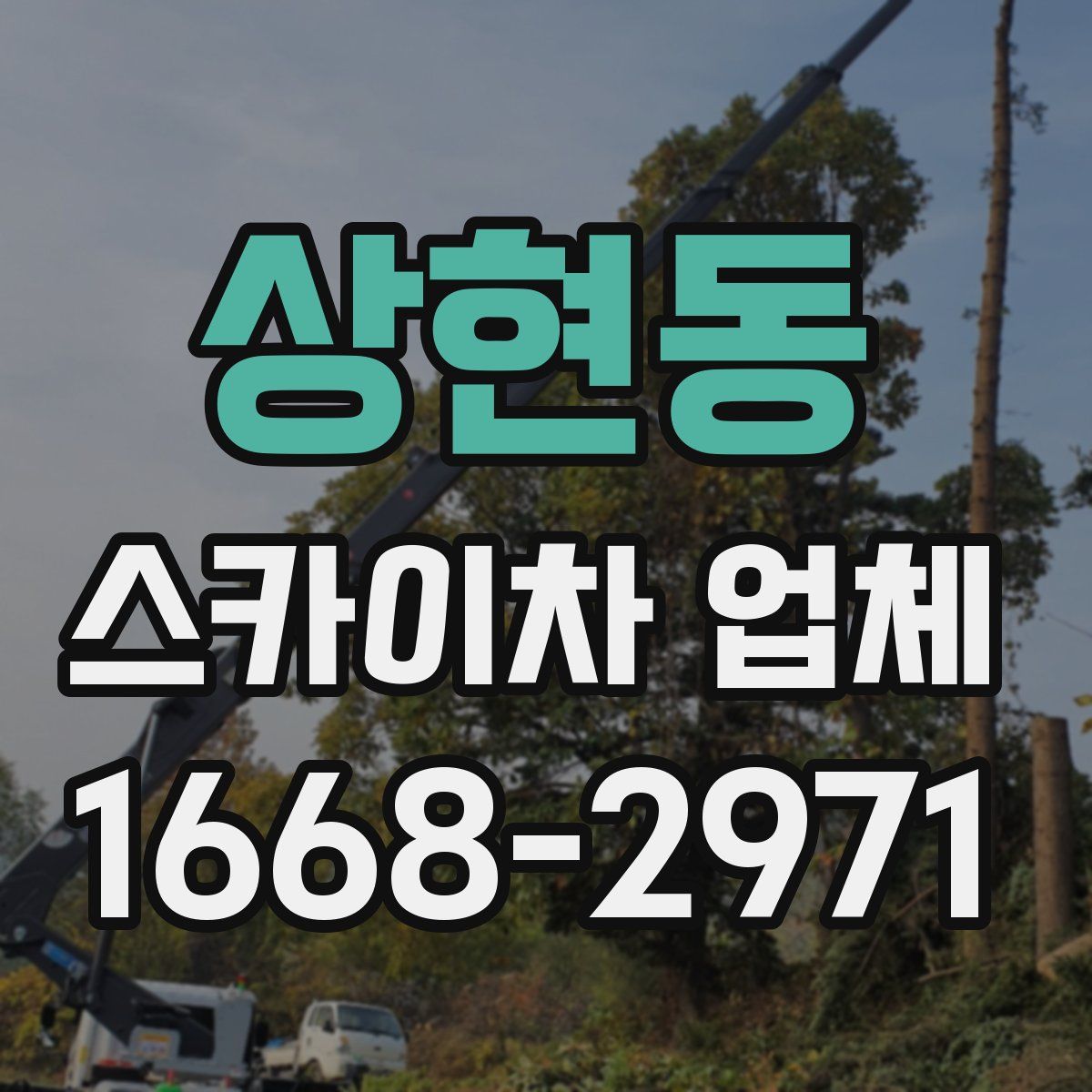 상현동 스카이차 업체