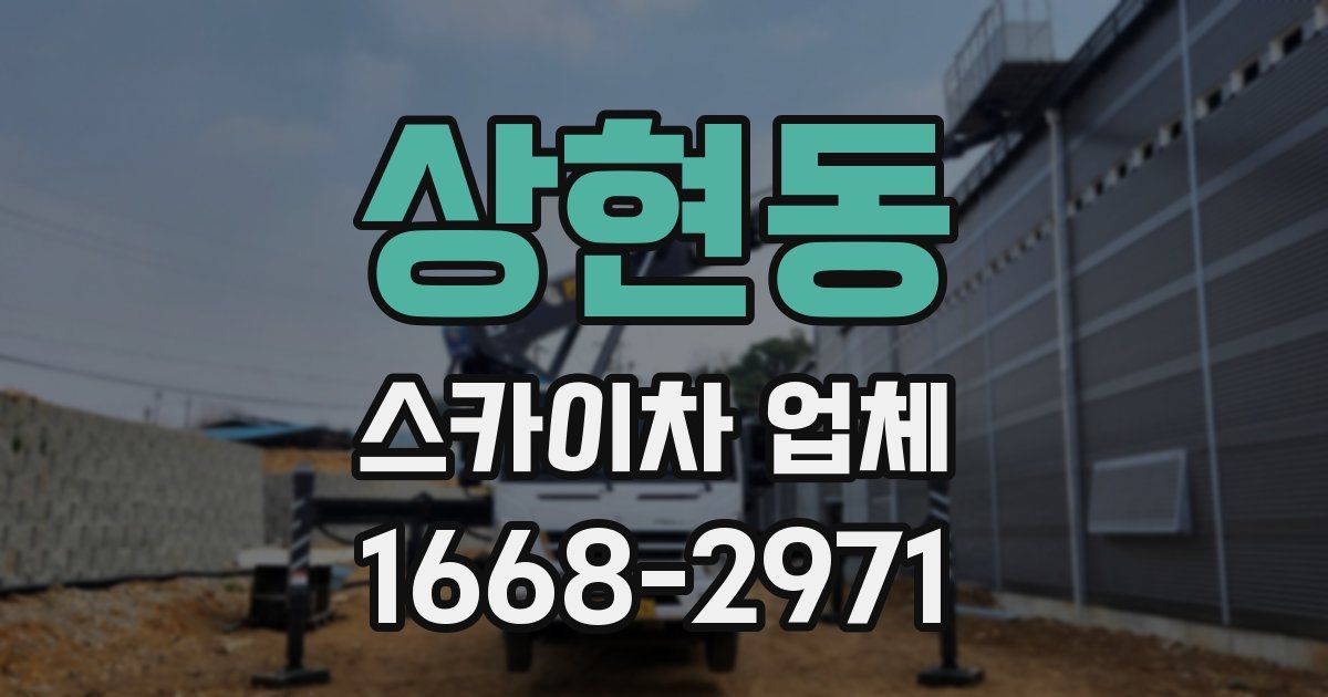 상현동 스카이차 업체