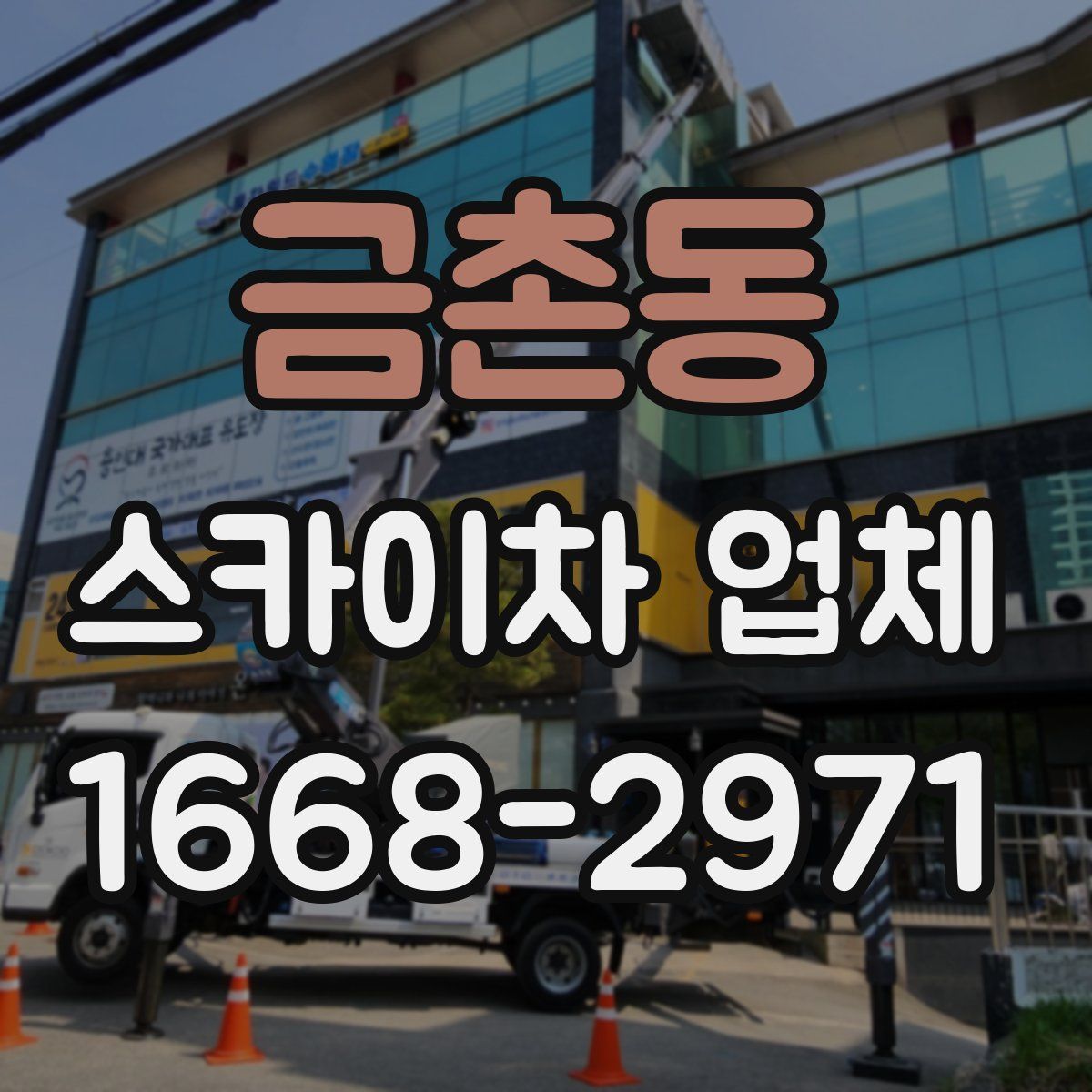 금촌동 스카이차 업체