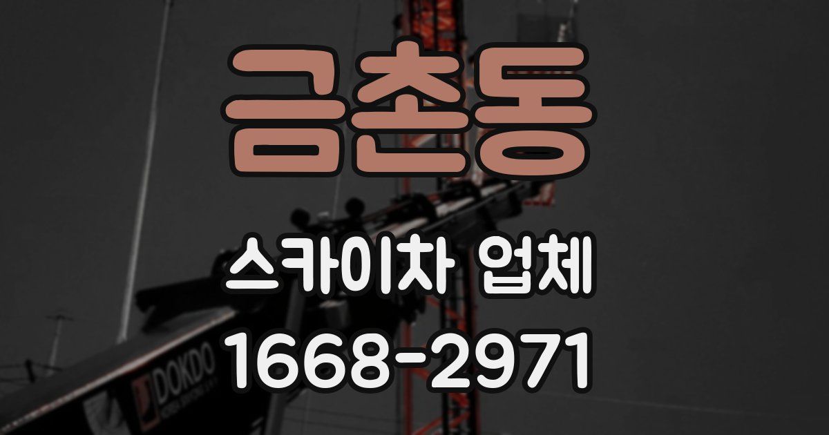 금촌동 스카이차 업체