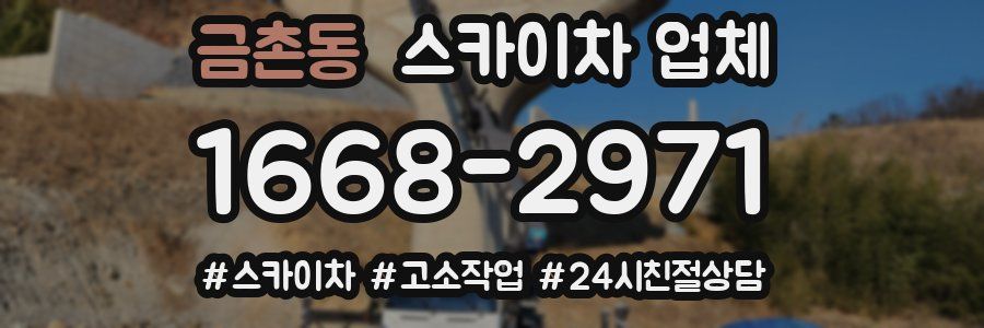 금촌동 스카이차 업체