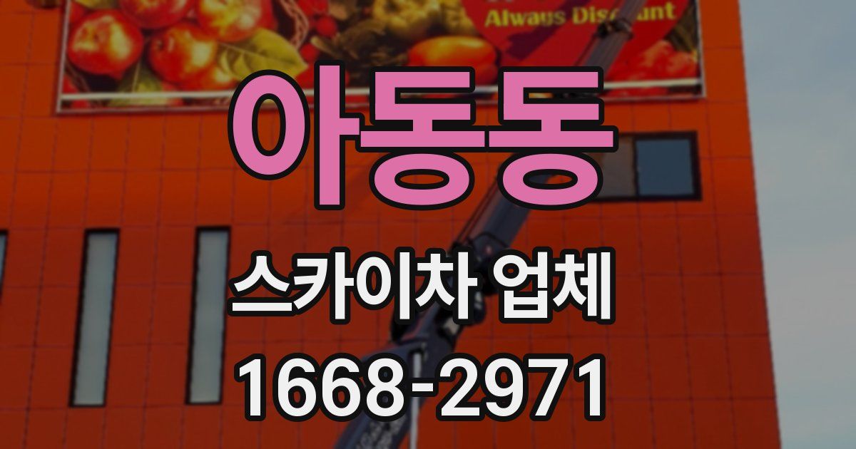 아동동 스카이차 업체