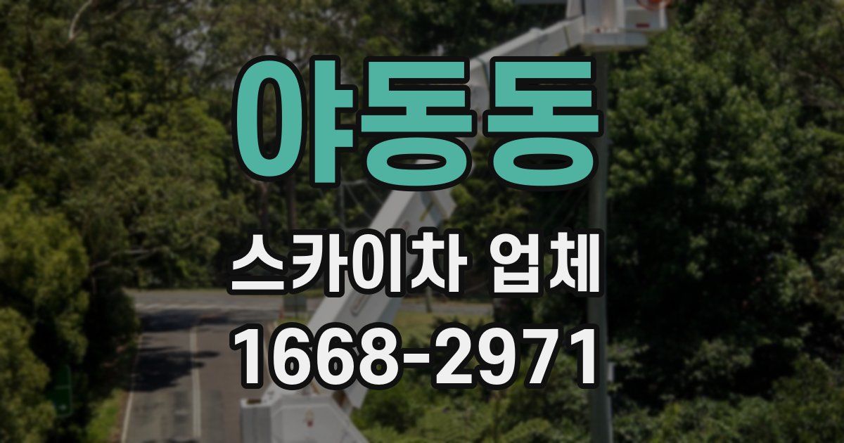 야동동 스카이차 업체