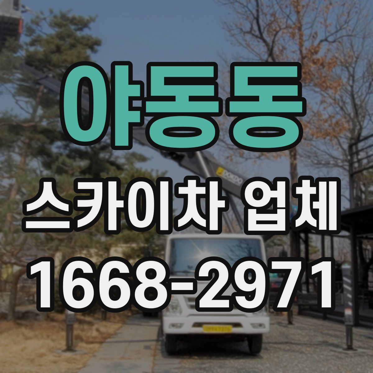 야동동 스카이차 업체