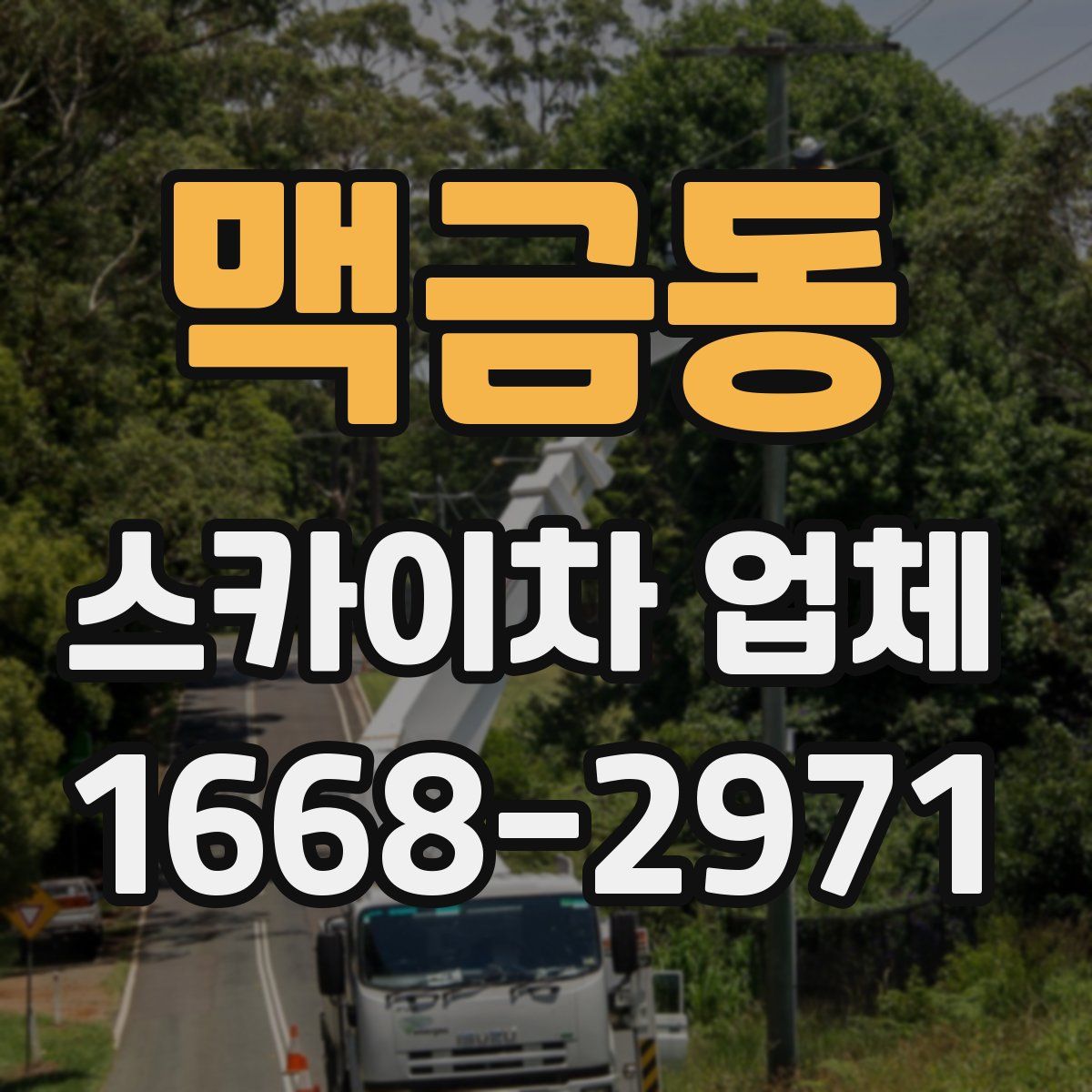 맥금동 스카이차 업체