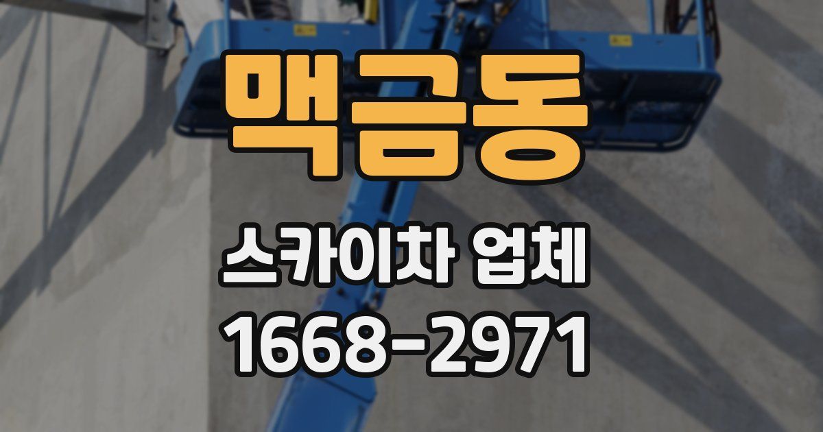 맥금동 스카이차 업체