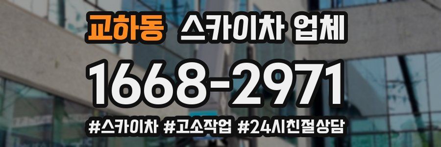 교하동 스카이차 업체