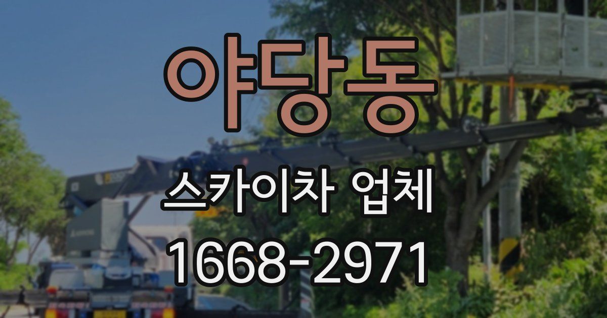 야당동 스카이차 업체