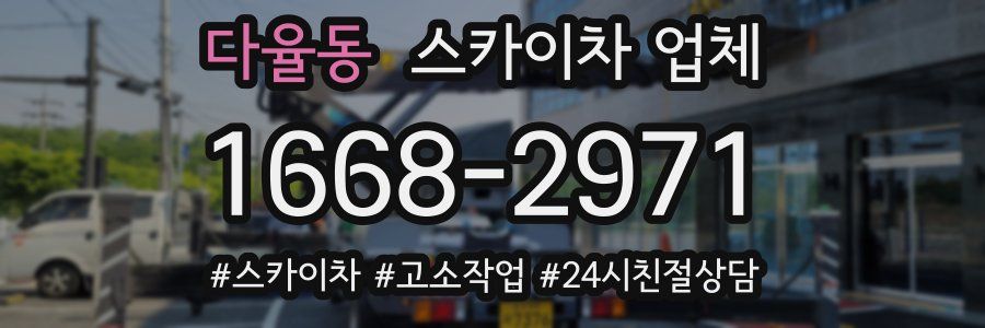 다율동 스카이차 업체