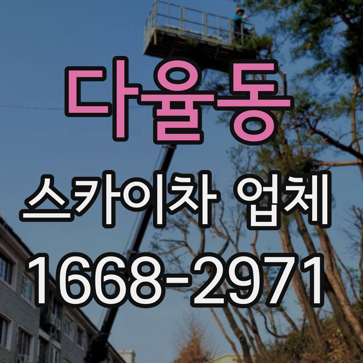 다율동 스카이차 업체