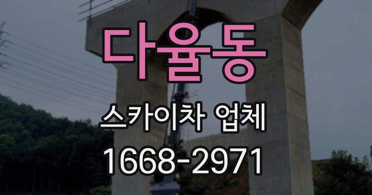 다율동 스카이차 업체