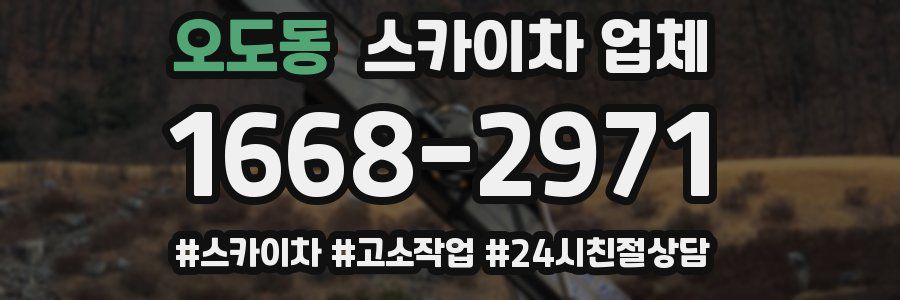 오도동 스카이차 업체