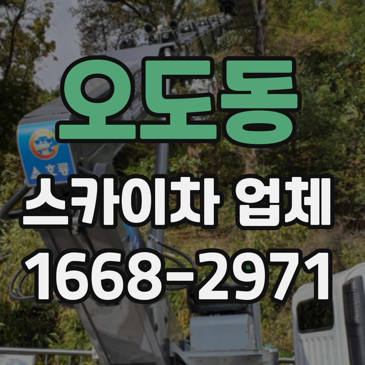 오도동 스카이차 업체