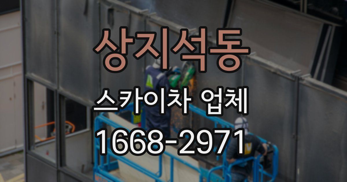 상지석동 스카이차 업체