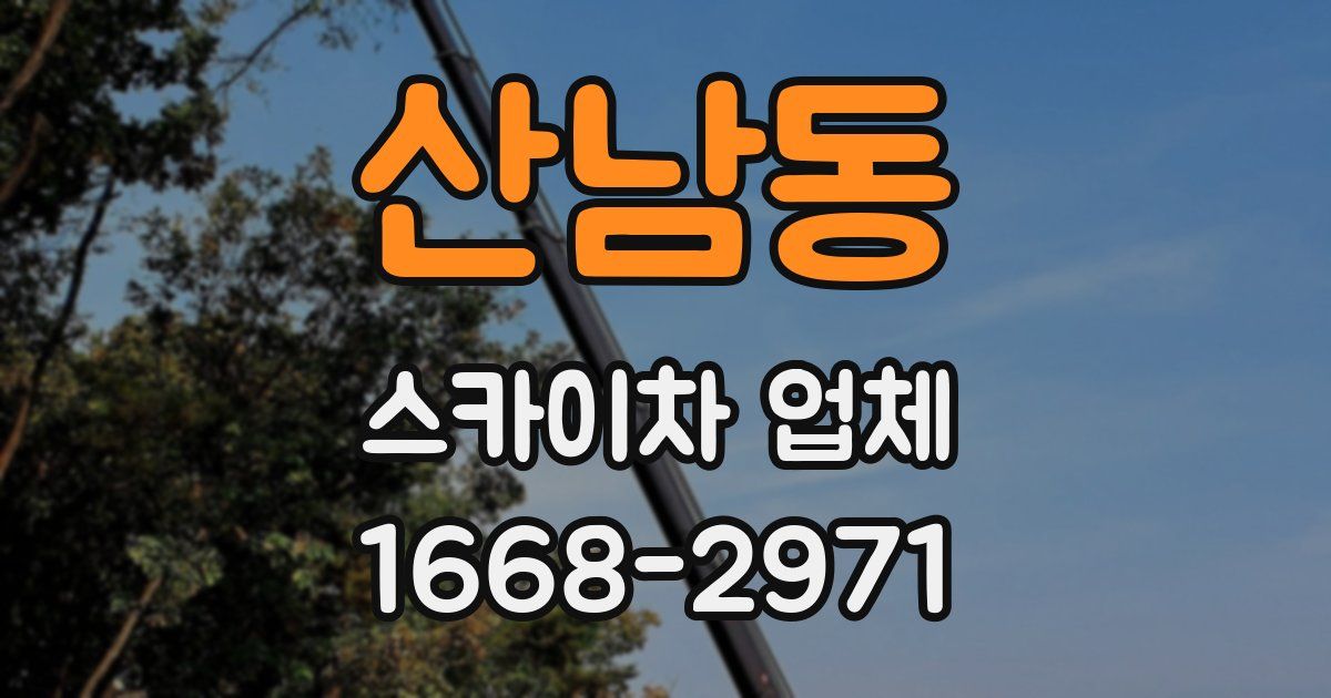 산남동 스카이차 업체